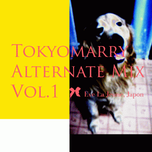 Tokyomarry Alternate MixV[Y